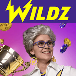 Wildz Casino - meilleur casino de Rootz